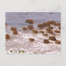 Zoek naar amerika briefkaarten South america