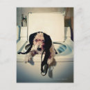 Zoek naar bizar briefkaarten Humor