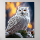 Zoek naar winter vogels posters Mooi