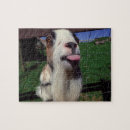 Zoek naar goat puzzels Dier