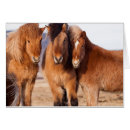 Zoek naar paarden winter briefkaarten Mantel