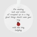Zoek naar ladybug ornamenten Schattig