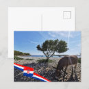 Zoek naar ezel briefkaarten Natuur