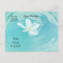 Zoek naar plumeria briefkaarten Bloemen