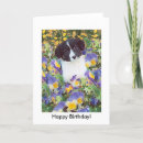 Zoek naar de van met border collie verjaardagskaarten Honden
