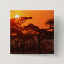 Zoek naar acacia buttons Africa