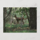 Zoek naar bambi briefkaarten Bos