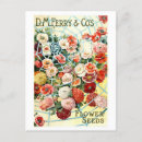 Zoek naar seed briefkaarten Vintage