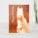 Zoek naar pony kaarten Paard