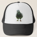 Zoek naar duiven geschenken Dier
