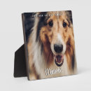 Zoek naar dieren fotoplaat Voor huisdieren