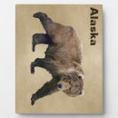 Zoek naar oude fotoplaat Elk persoon