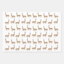 Zoek naar hazen cadeaupapier Bunny