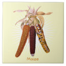 Zoek naar fruit tegels Antiek