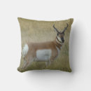 Zoek naar antilope kussens Antilocapra americana