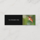 Zoek naar dieren mini visitekaartjes Wild