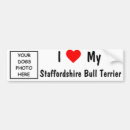 Zoek naar staffordshire bumperstickers Bull