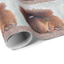 Zoek naar leuke eekhoorn cadeaupapier Dier