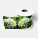 Zoek naar hortensia lint Blauw