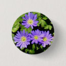 Zoek naar anemonen buttons Lente