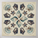 Zoek naar zeewier posters Zeeschelpen