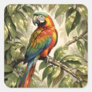 Zoek naar vogel tekening stickers Papegaai