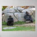 Zoek naar gorilla kunst Mensapen