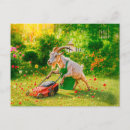 Zoek naar tuin humor briefkaarten Bloemen