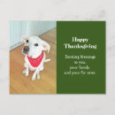 Zoek naar nuun briefkaarten Elk persoon