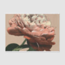 Zoek naar grijs tissue papier Botanisch