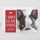 Zoek naar grappige hond kaarten Kerstmis