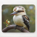 Zoek naar ijsvogel muismatten Tak