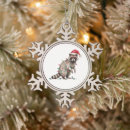 Zoek naar wasbeer ornamenten Feestdag