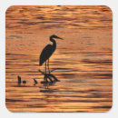 Zoek naar reiger stickers Voor iedereen