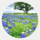 Zoek naar bloem lucht stickers Lente