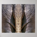 Zoek naar grappige olifant posters Elk persoon