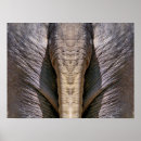 Zoek naar grappige olifant posters Elk persoon
