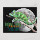 Zoek naar kameleon briefkaarten Wild
