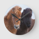 Zoek naar equus klokken Danita delimont