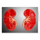 Zoek naar nieren briefkaarten Biologie