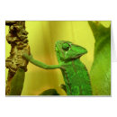 Zoek naar kameleon briefkaarten Verandering