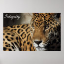 Zoek naar integriteit posters Motivatie