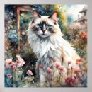 Zoek naar katten tuin posters Bloemen