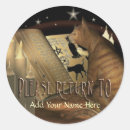 Zoek naar heksen borden Spookachtig