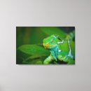 Zoek naar viti posters Horizontaal