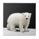 Zoek naar kubus tegels Beer