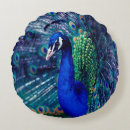 Zoek naar peacock kussens Blauwe pauw