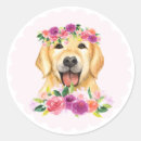 Zoek naar golden retriever stickers Waterverf