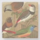 Zoek naar zangvogel onderzetters Natuur