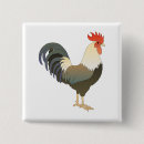 Zoek naar boerderij dieren buttons Rooster